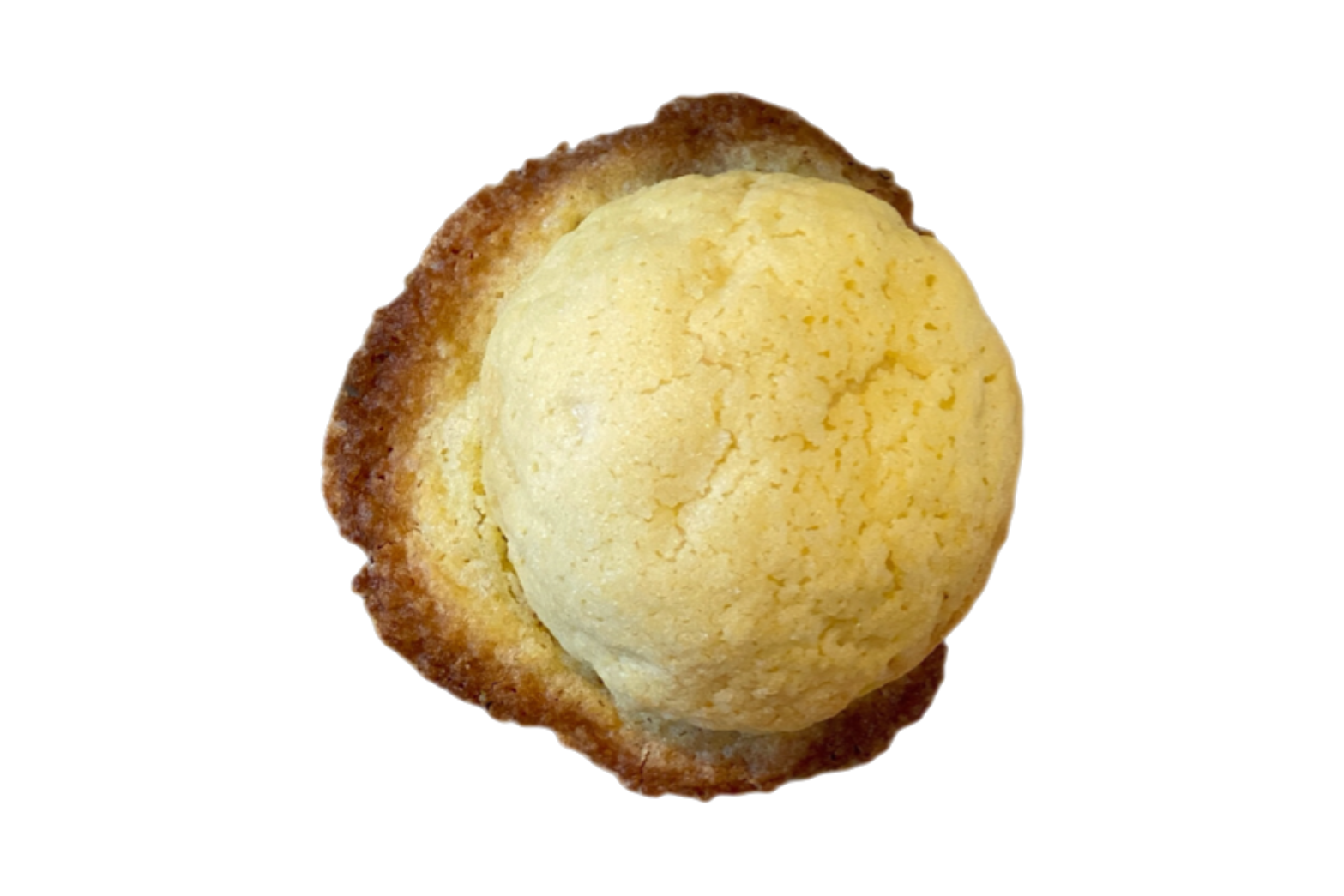 ヨーグルトメロンパン