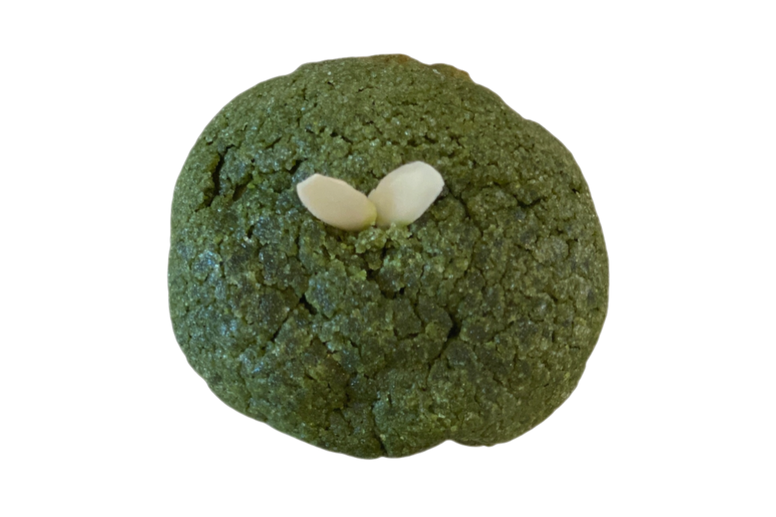 抹茶メロンパン